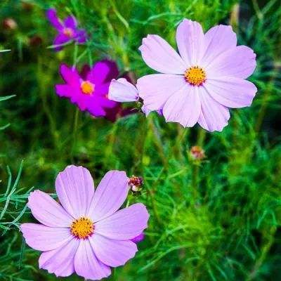 最爱发钱老板带4千多名员工父母旅游