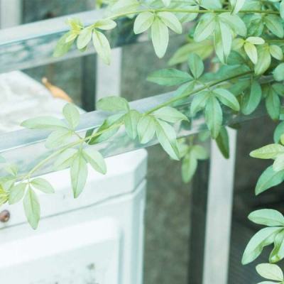 A股现金分红热潮涌动 百余家沪市公司拟派现超800亿元